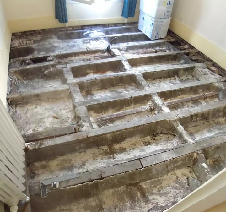 Protégez durablement votre parquet des insectes xylophages.